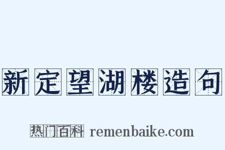 新定望湖楼造句是什么意思的图片